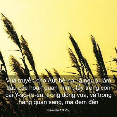 Picture 03 - Ða-ni-ên 1:3 VIE - Vua truyền cho Aùt-bê-na, là người làm - Bible Verse Picture