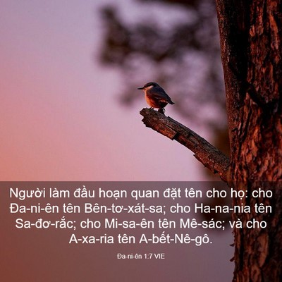 Picture 03 - Ða-ni-ên 1:7 VIE - Người làm đầu hoạn quan đặt tên cho - Bible Verse Picture