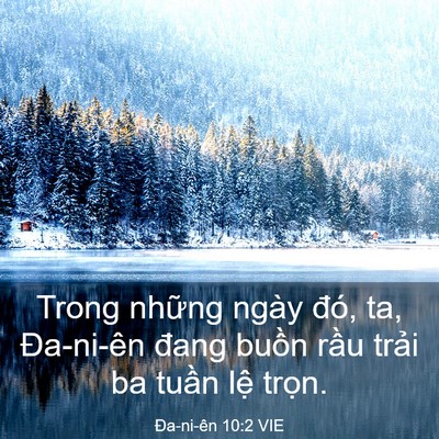 Picture 03 - Ða-ni-ên 10:2 VIE - Trong những ngày đó, ta, Đa-ni-ên đang - Bible Verse Picture