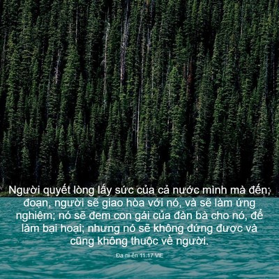 Picture 03 - Ða-ni-ên 11:17 VIE - Người quyết lòng lấy sức của cả - Bible Verse Picture