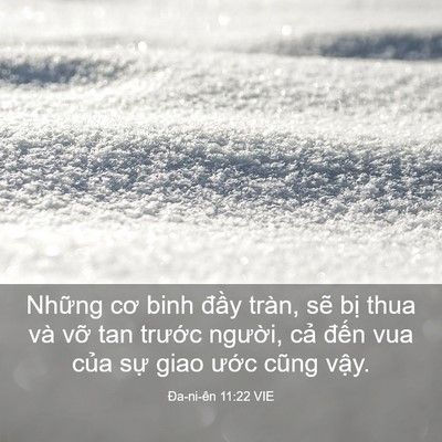 Picture 03 - Ða-ni-ên 11:22 VIE - Những cơ binh đầy tràn, sẽ bị thua và - Bible Verse Picture