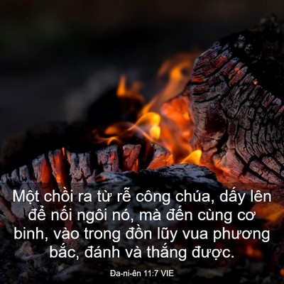 Picture 03 - Ða-ni-ên 11:7 VIE - Một chồi ra từ rễ công chúa, dấy lên - Bible Verse Picture
