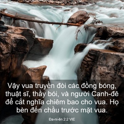 Picture 03 - Ða-ni-ên 2:2 VIE - Vậy vua truyền đòi các đồng bóng, - Bible Verse Picture