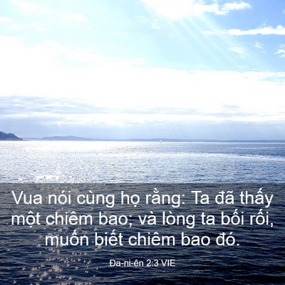 Picture 03 - Ða-ni-ên 2:3 VIE - Vua nói cùng họ rằng: Ta đã thấy một - Bible Verse Picture