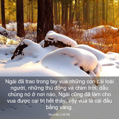 Picture 03 - Ða-ni-ên 2:38 VIE - Ngài đã trao trong tay vua những con cái - Bible Verse Picture