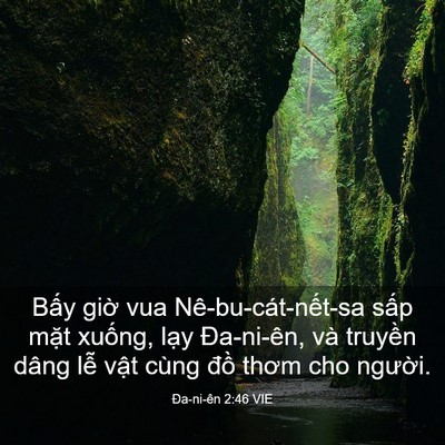 Picture 03 - Ða-ni-ên 2:46 VIE - Bấy giờ vua Nê-bu-cát-nết-sa sấp mặt - Bible Verse Picture