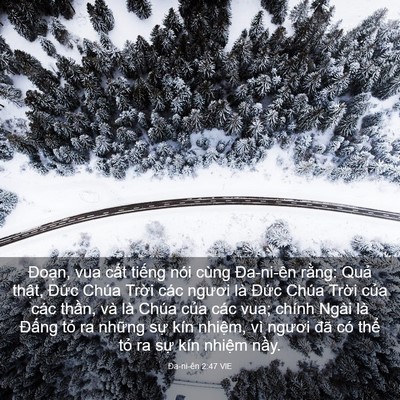 Picture 03 - Ða-ni-ên 2:47 VIE - Đoạn, vua cất tiếng nói cùng Đa-ni-ên - Bible Verse Picture