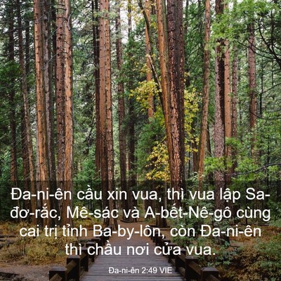 Picture 03 - Ða-ni-ên 2:49 VIE - Đa-ni-ên cầu xin vua, thì vua lập - Bible Verse Picture