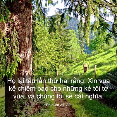Picture 03 - Ða-ni-ên 2:7 VIE - Họ lại tâu lần thứ hai rằng: Xin vua - Bible Verse Picture