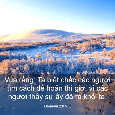 Picture 03 - Ða-ni-ên 2:8 VIE - Vua rằng: Ta biết chắc các ngươi tìm - Bible Verse Picture