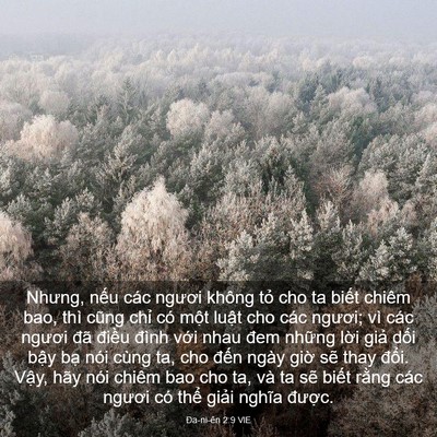 Picture 03 - Ða-ni-ên 2:9 VIE - Nhưng, nếu các ngươi không tỏ cho ta - Bible Verse Picture