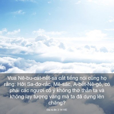 Picture 03 - Ða-ni-ên 3:14 VIE - Vua Nê-bu-cát-nết-sa cất tiếng nói cùng - Bible Verse Picture