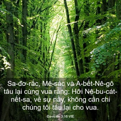 Picture 03 - Ða-ni-ên 3:16 VIE - Sa-đơ-rắc, Mê-sác và A-bết-Nê-gô tâu - Bible Verse Picture