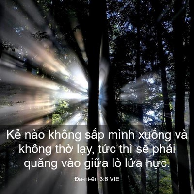 Picture 03 - Ða-ni-ên 3:6 VIE - Kẻ nào không sấp mình xuống và không - Bible Verse Picture