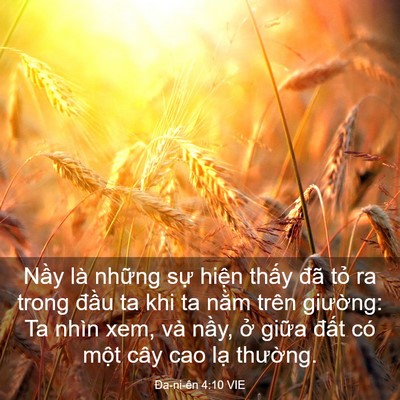 Picture 03 - Ða-ni-ên 4:10 VIE - Nầy là những sự hiện thấy đã tỏ ra - Bible Verse Picture