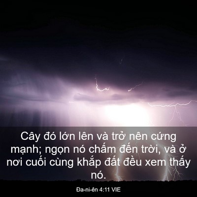 Picture 03 - Ða-ni-ên 4:11 VIE - Cây đó lớn lên và trở nên cứng - Bible Verse Picture
