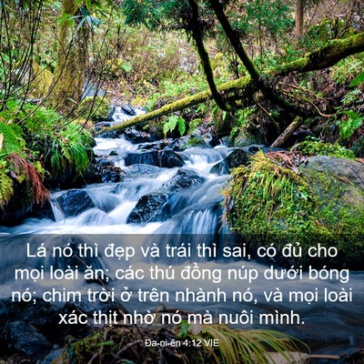 Picture 03 - Ða-ni-ên 4:12 VIE - Lá nó thì đẹp và trái thì sai, có đủ - Bible Verse Picture