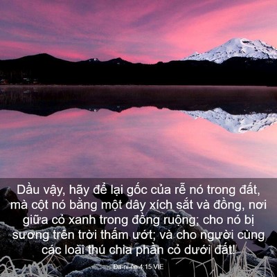 Picture 03 - Ða-ni-ên 4:15 VIE - Dầu vậy, hãy để lại gốc của rễ - Bible Verse Picture