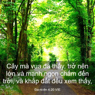 Picture 03 - Ða-ni-ên 4:20 VIE - Cây mà vua đã thấy, trở nên lớn và - Bible Verse Picture