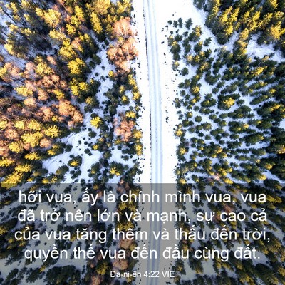 Picture 03 - Ða-ni-ên 4:22 VIE - hỡi vua, ấy là chính mình vua, vua đã - Bible Verse Picture