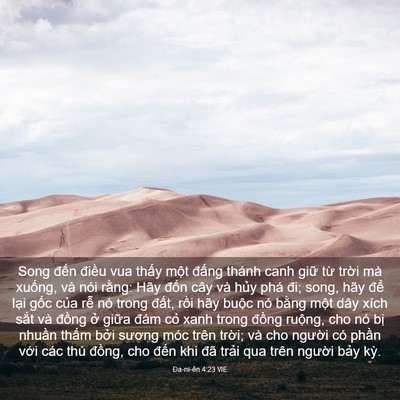 Picture 03 - Ða-ni-ên 4:23 VIE - Song đến điều vua thấy một đấng - Bible Verse Picture