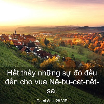 Picture 03 - Ða-ni-ên 4:28 VIE - Hết thảy những sự đó đều đến cho - Bible Verse Picture