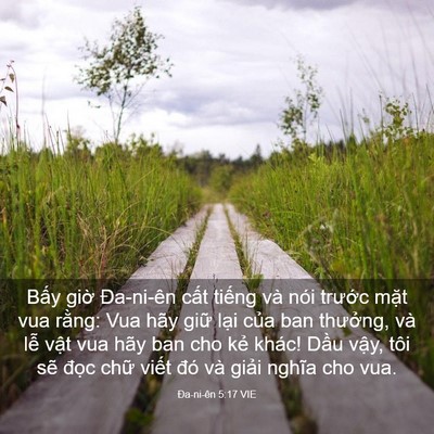 Picture 03 - Ða-ni-ên 5:17 VIE - Bấy giờ Đa-ni-ên cất tiếng và nói - Bible Verse Picture