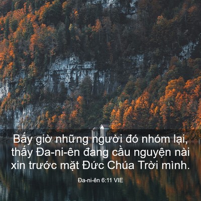 Picture 03 - Ða-ni-ên 6:11 VIE - Bấy giờ những người đó nhóm lại, - Bible Verse Picture