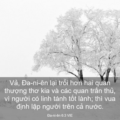 Picture 03 - Ða-ni-ên 6:3 VIE - Vả, Đa-ni-ên lại trổi hơn hai quan - Bible Verse Picture