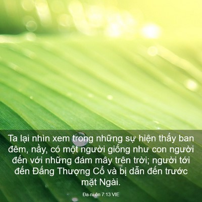 Picture 03 - Ða-ni-ên 7:13 VIE - Ta lại nhìn xem trong những sự hiện - Bible Verse Picture