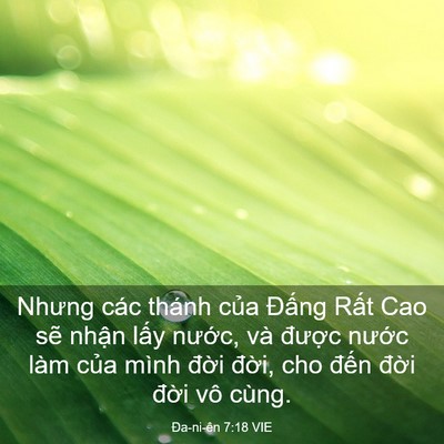 Picture 03 - Ða-ni-ên 7:18 VIE - Nhưng các thánh của Đấng Rất Cao sẽ - Bible Verse Picture