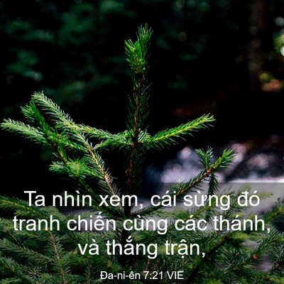 Picture 03 - Ða-ni-ên 7:21 VIE - Ta nhìn xem, cái sừng đó tranh chiến - Bible Verse Picture