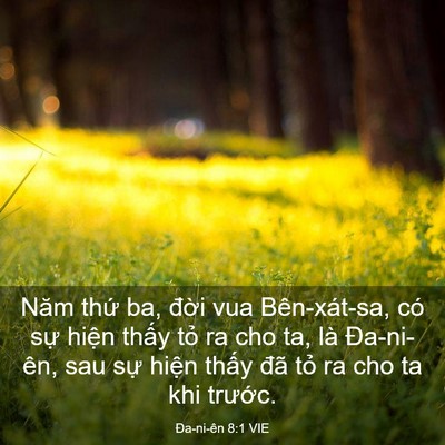 Picture 03 - Ða-ni-ên 8:1 VIE - Năm thứ ba, đời vua Bên-xát-sa, có sự - Bible Verse Picture