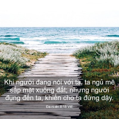 Picture 03 - Ða-ni-ên 8:18 VIE - Khi người đang nói với ta, ta ngủ mê - Bible Verse Picture