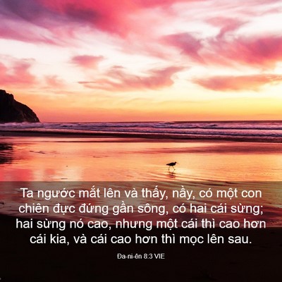 Picture 03 - Ða-ni-ên 8:3 VIE - Ta ngước mắt lên và thấy, nầy, có - Bible Verse Picture