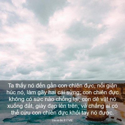 Picture 03 - Ða-ni-ên 8:7 VIE - Ta thấy nó đến gần con chiên đực, - Bible Verse Picture