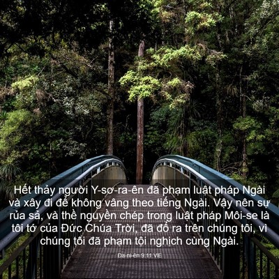Picture 03 - Ða-ni-ên 9:11 VIE - Hết thảy người Y-sơ-ra-ên đã phạm - Bible Verse Picture