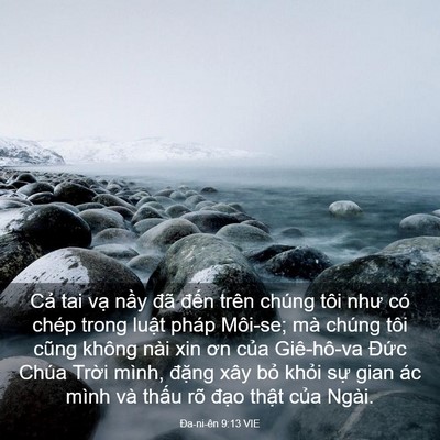 Picture 03 - Ða-ni-ên 9:13 VIE - Cả tai vạ nầy đã đến trên chúng tôi - Bible Verse Picture