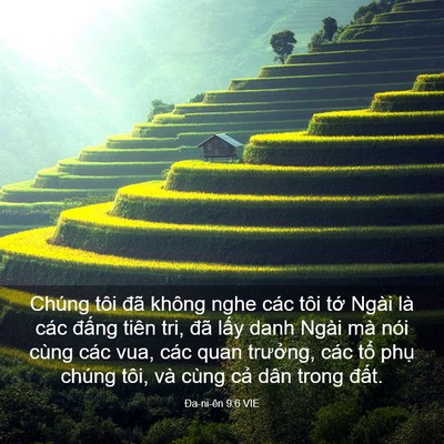 Picture 03 - Ða-ni-ên 9:6 VIE - Chúng tôi đã không nghe các tôi tớ Ngài - Bible Verse Picture