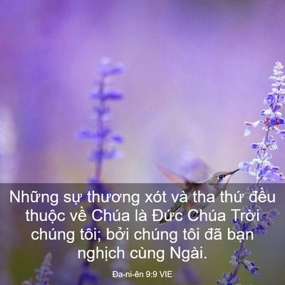Picture 03 - Ða-ni-ên 9:9 VIE - Những sự thương xót và tha thứ đều - Bible Verse Picture