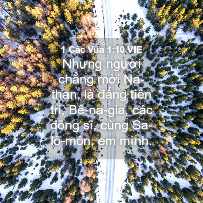 Picture 04 - 1 Các Vua 1:10 VIE - Nhưng người chẳng mời Na-than, là - Bible Verse Picture