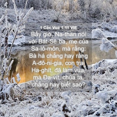 Picture 04 - 1 Các Vua 1:11 VIE - Bấy giờ, Na-than nói với Bát-Sê-ba, mẹ - Bible Verse Picture