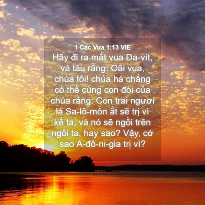 Picture 04 - 1 Các Vua 1:13 VIE - Hãy đi ra mắt vua Đa-vít, và tâu rằng: - Bible Verse Picture