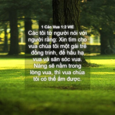 Picture 04 - 1 Các Vua 1:2 VIE - Các tôi tớ người nói với người - Bible Verse Picture