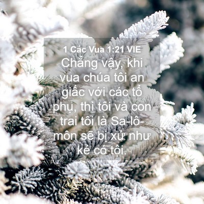 Picture 04 - 1 Các Vua 1:21 VIE - Chẳng vậy, khi vua chúa tôi an giấc với - Bible Verse Picture