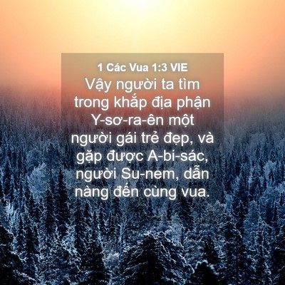 Picture 04 - 1 Các Vua 1:3 VIE - Vậy người ta tìm trong khắp địa phận - Bible Verse Picture