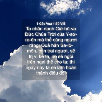 Picture 04 - 1 Các Vua 1:30 VIE - Ta nhân danh Giê-hô-va Đức Chúa Trời - Bible Verse Picture