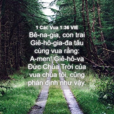 Picture 04 - 1 Các Vua 1:36 VIE - Bê-na-gia, con trai Giê-hô-gia-đa tâu cùng - Bible Verse Picture