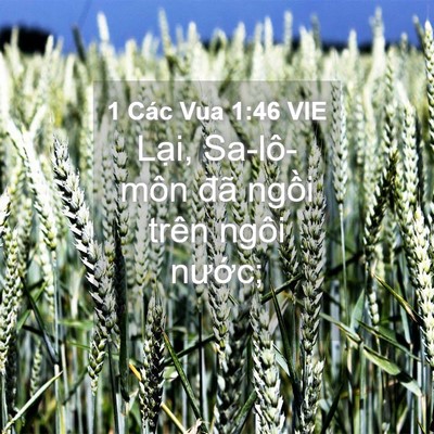 Picture 04 - 1 Các Vua 1:46 VIE - Lại, Sa-lô-môn đã ngồi trên ngôi - Bible Verse Picture