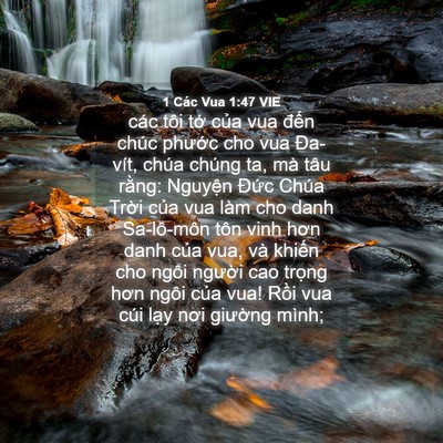 Picture 04 - 1 Các Vua 1:47 VIE - các tôi tớ của vua đến chúc phước - Bible Verse Picture